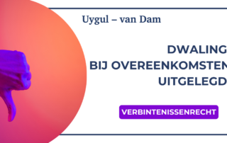 dwaling overeenkomsten uitgelegd